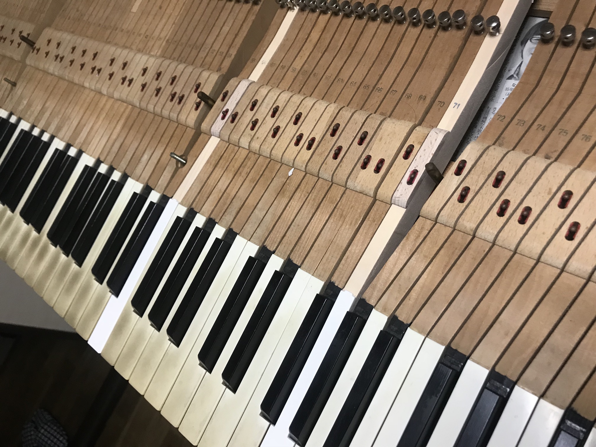 5CB1B12A-1D32-4298-8868-F24A1164BE85