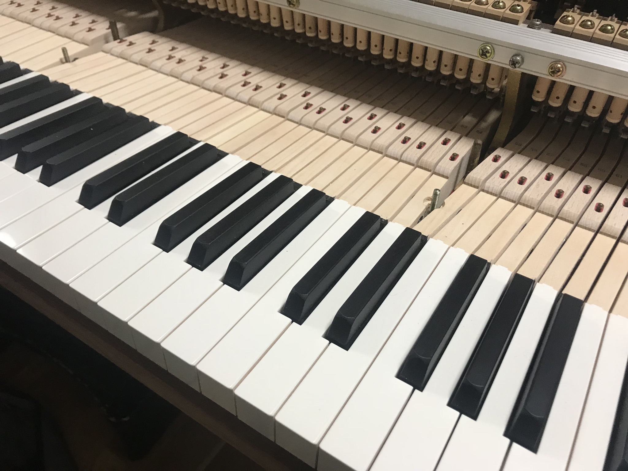 D67BCB3E-223B-4332-A5D9-A41B319DD247