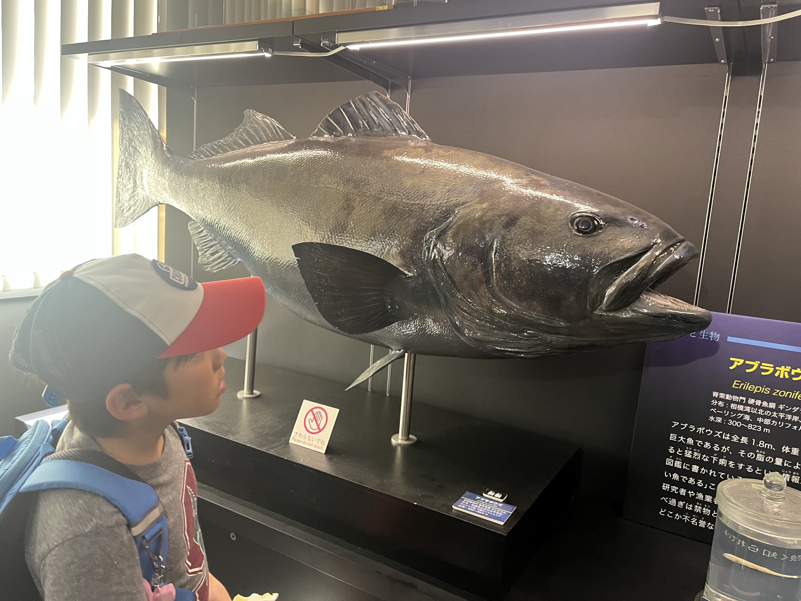 0468E1C7-A8CD-43C6-A07C-4A750C29218A (1)